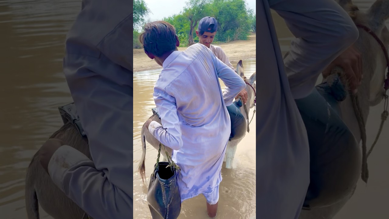 Disabled Boy Fetching Water on Donkey | Desert People&rsquo;s Struggle for Survival&rdquo;