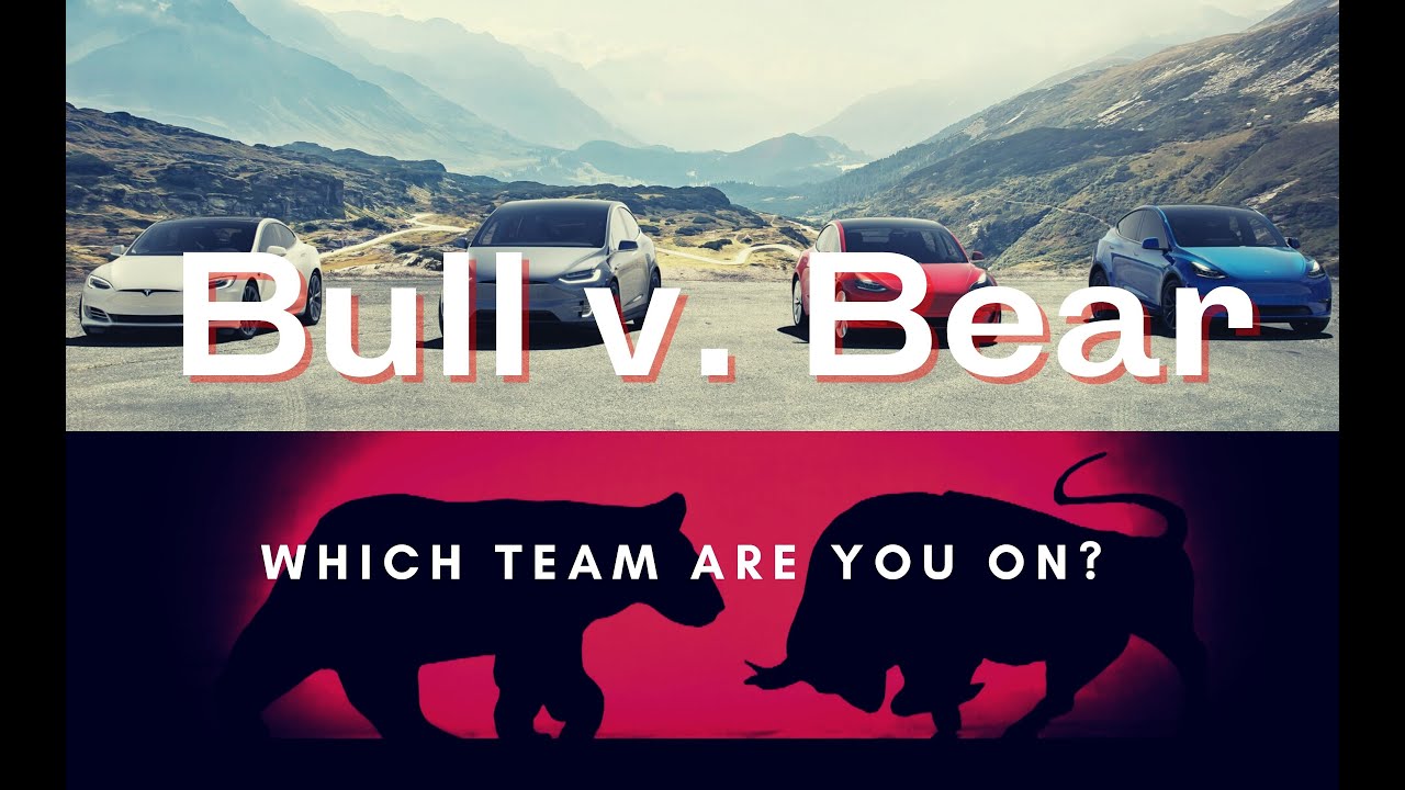 Bull vs Bear: Pilot (Tesla)