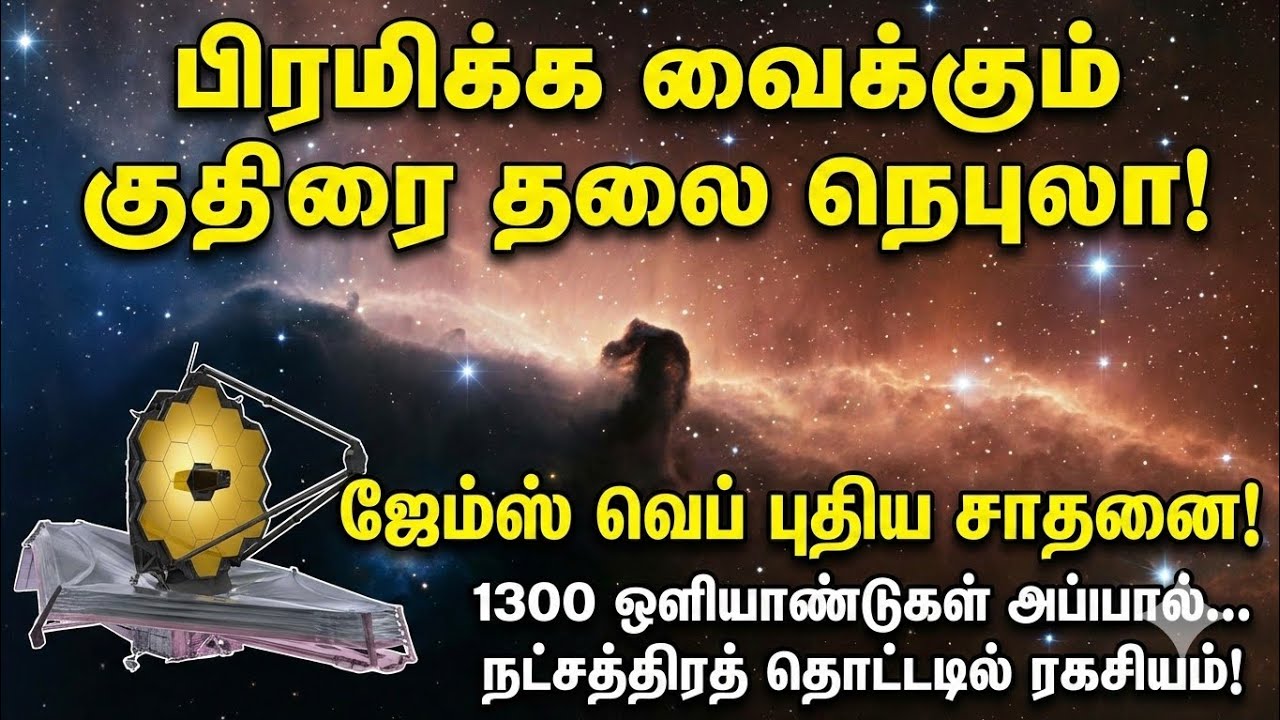 1300 ஒளியாண்டுகள் தொலைவில்... ஜேம்ஸ் வெப் படம்பிடித்த குதிரை தலை நெபுலா ரகசியம்! 🔭✨#tamilfacts 