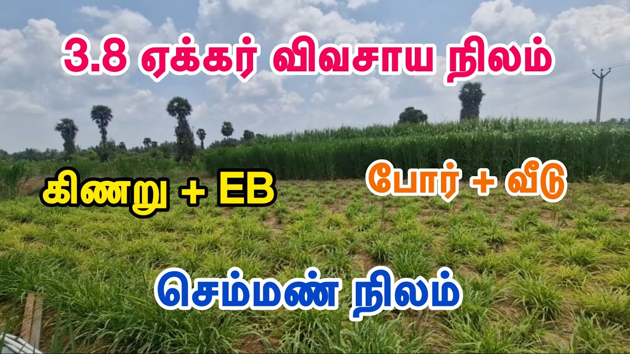 ID-1018 🌴அருமையான செம்மண் விவசாய நிலம் #trending #farmland #realestate #viral #agriculture #farming 