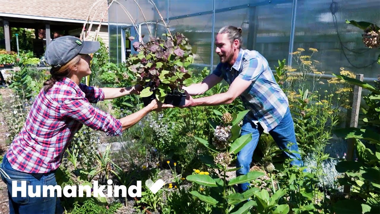 How this urban farm is feeding those in need fresh and free food | Humankind