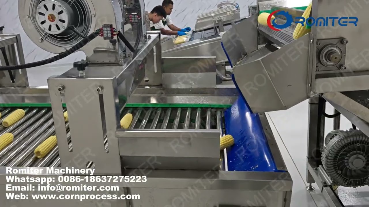 Automatic Vacuum Packed Sweet Corn Making Production Line for Indonesia Customer