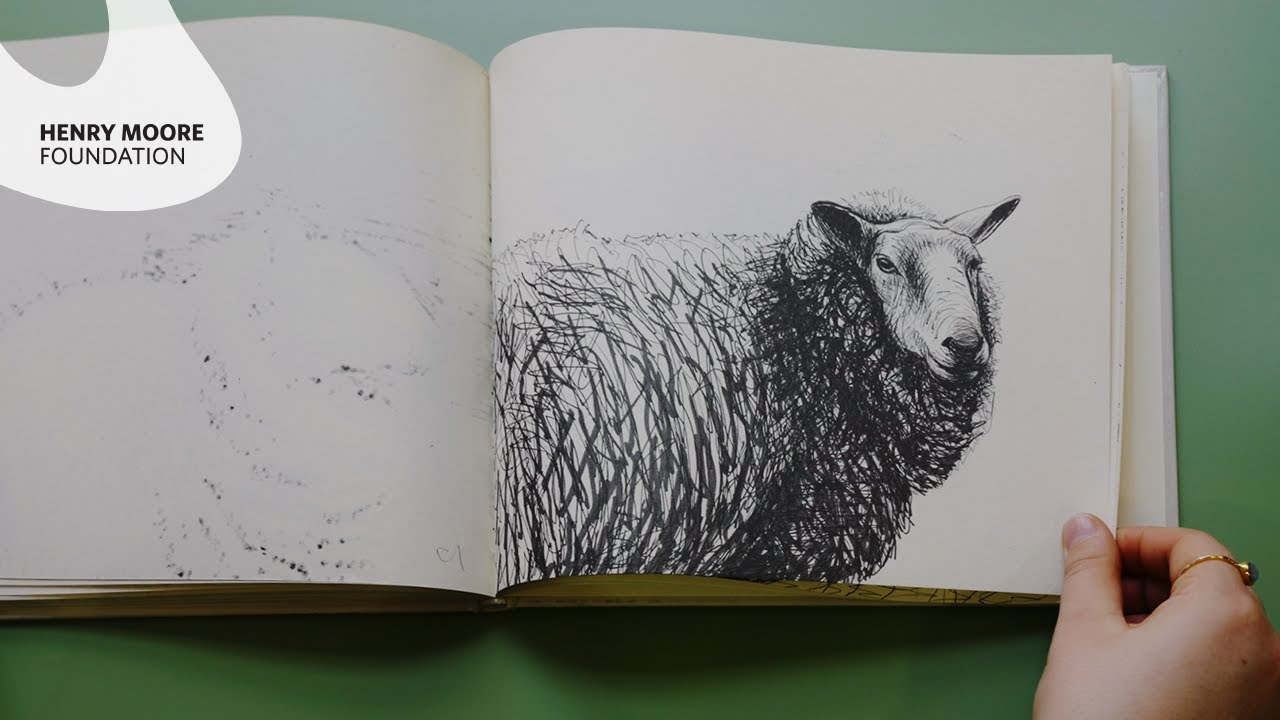 ASMR at the library #2 Henry Moore's Sheep Sketchbook