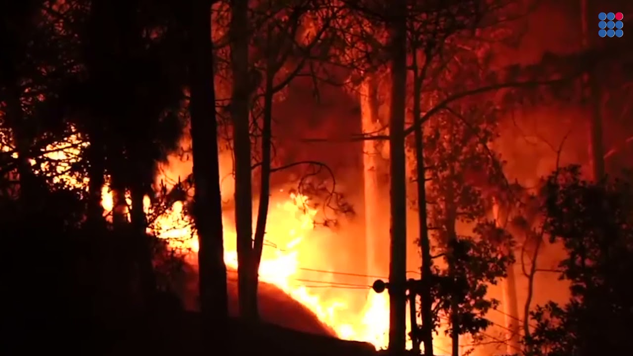Forest Fires in India