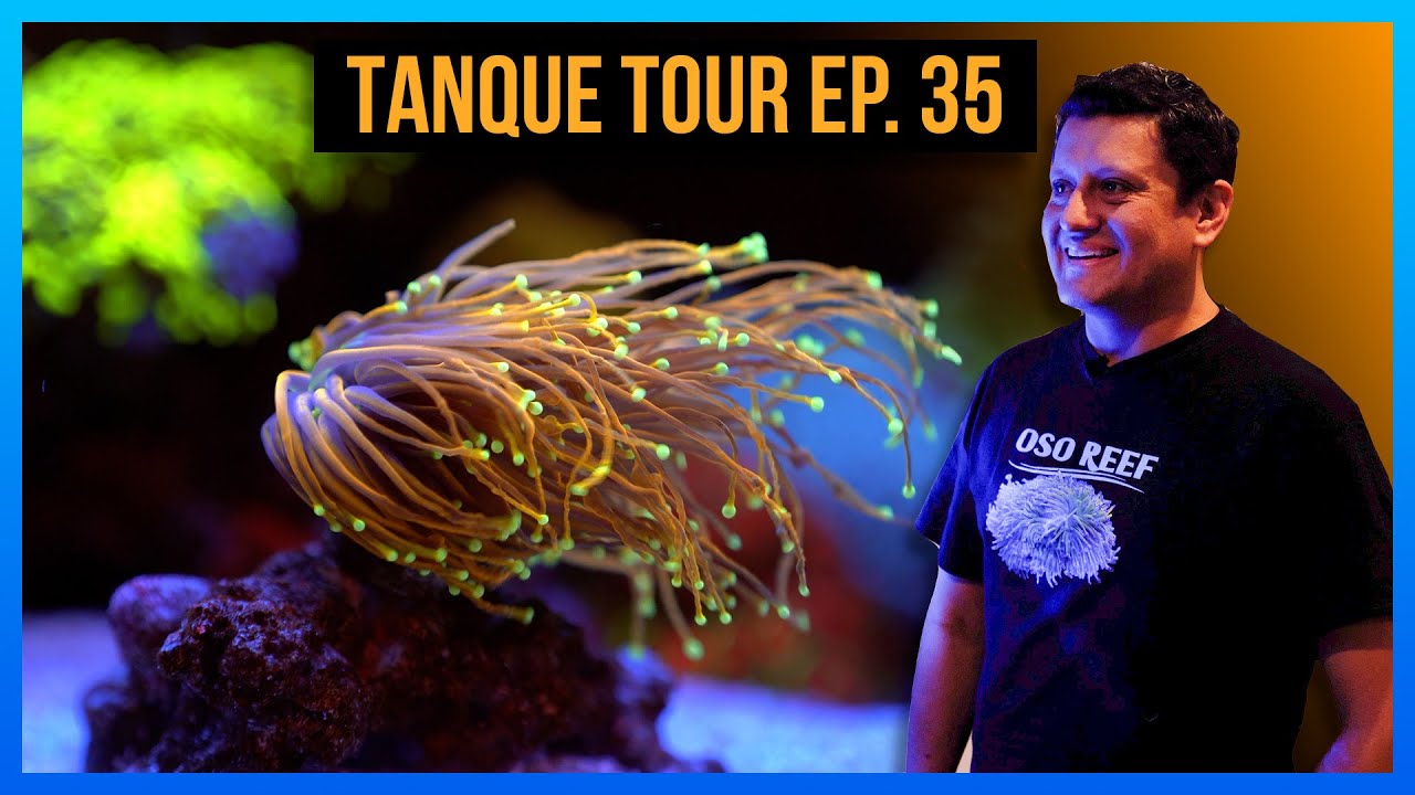 TANQUE TOUR EP. 35 / Enrique Sahagun