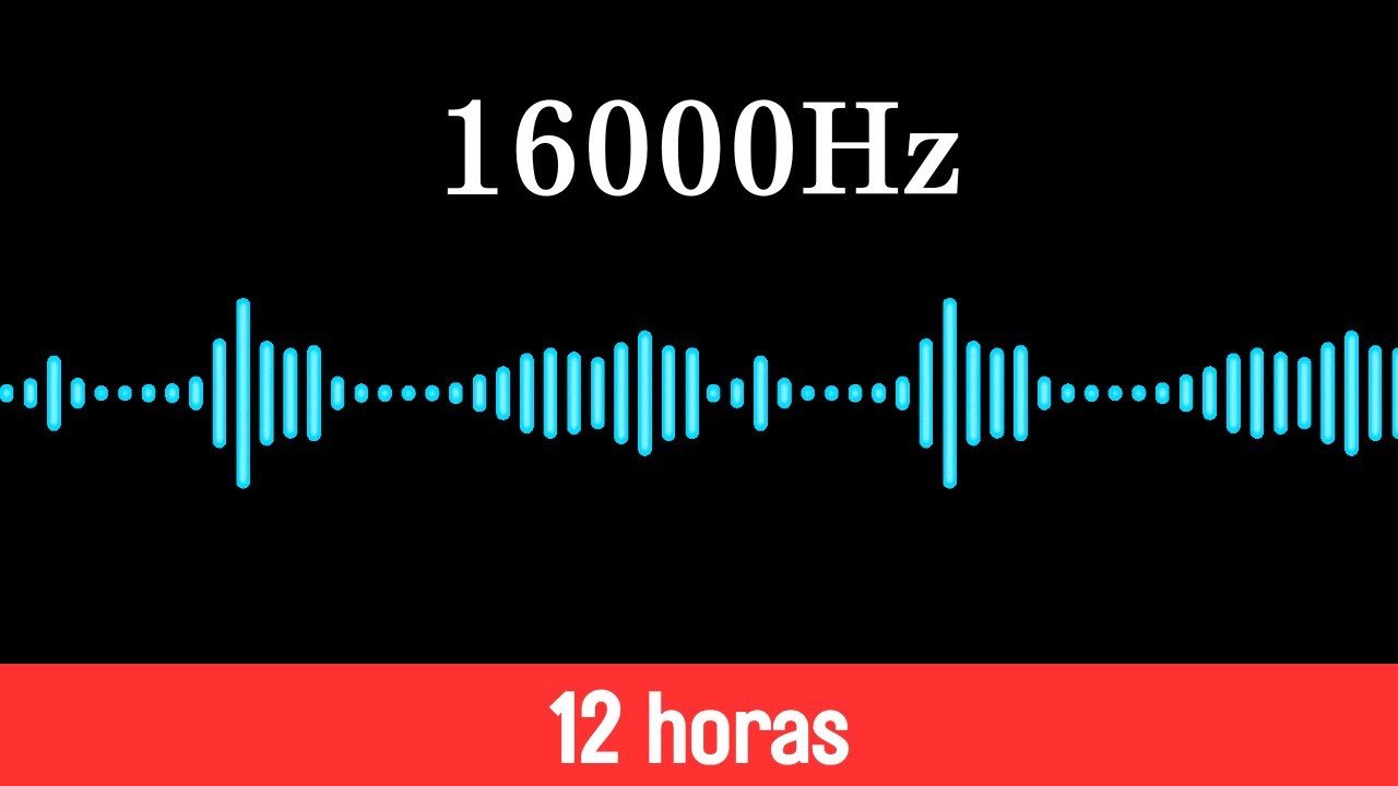 Ultrasonido 16000 Hz contra ratas y ratones | Repelente seguro y silencioso | 12 Horas