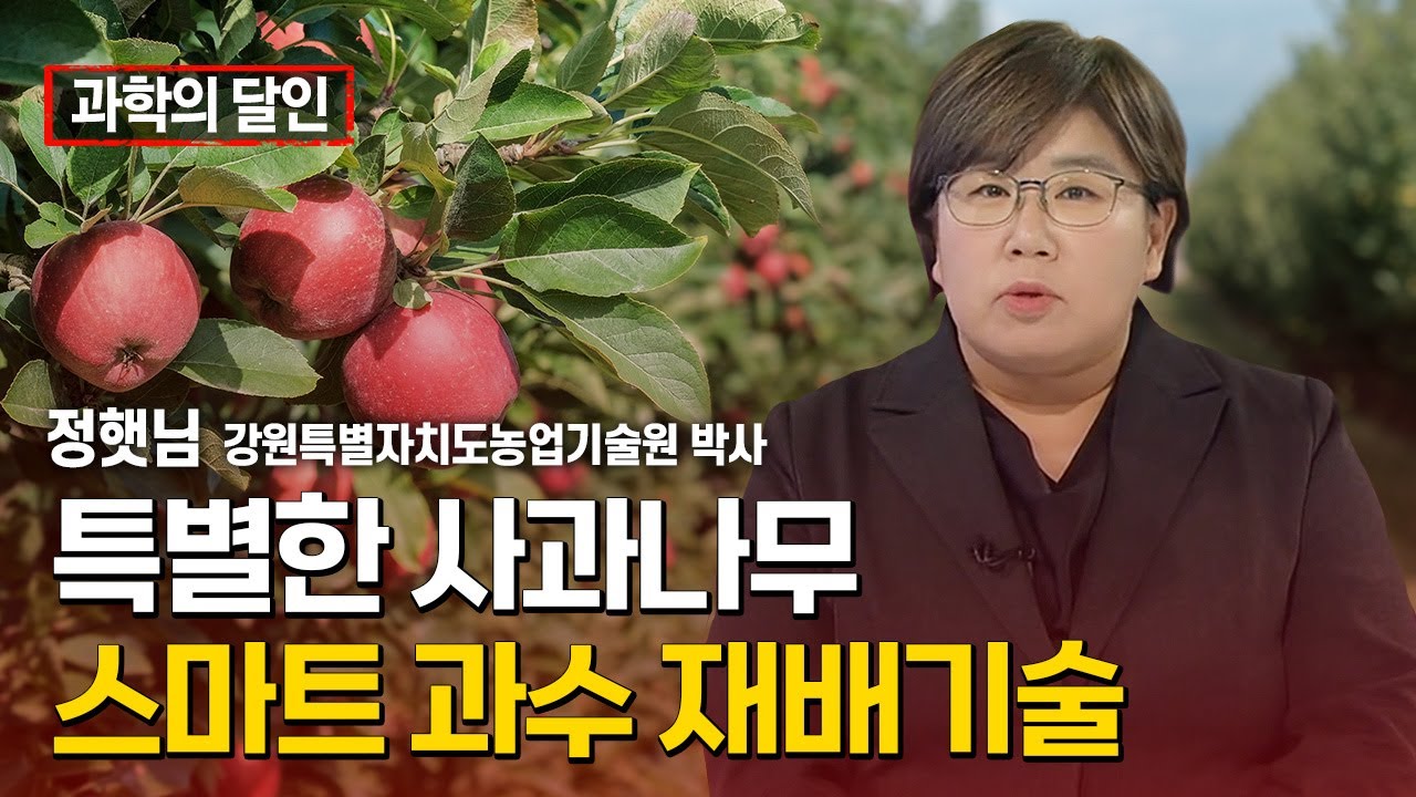 [과학의 달인] 특별한 모양의 사과나무…스마트 과수 재배기술 개발! / YTN 사이언스