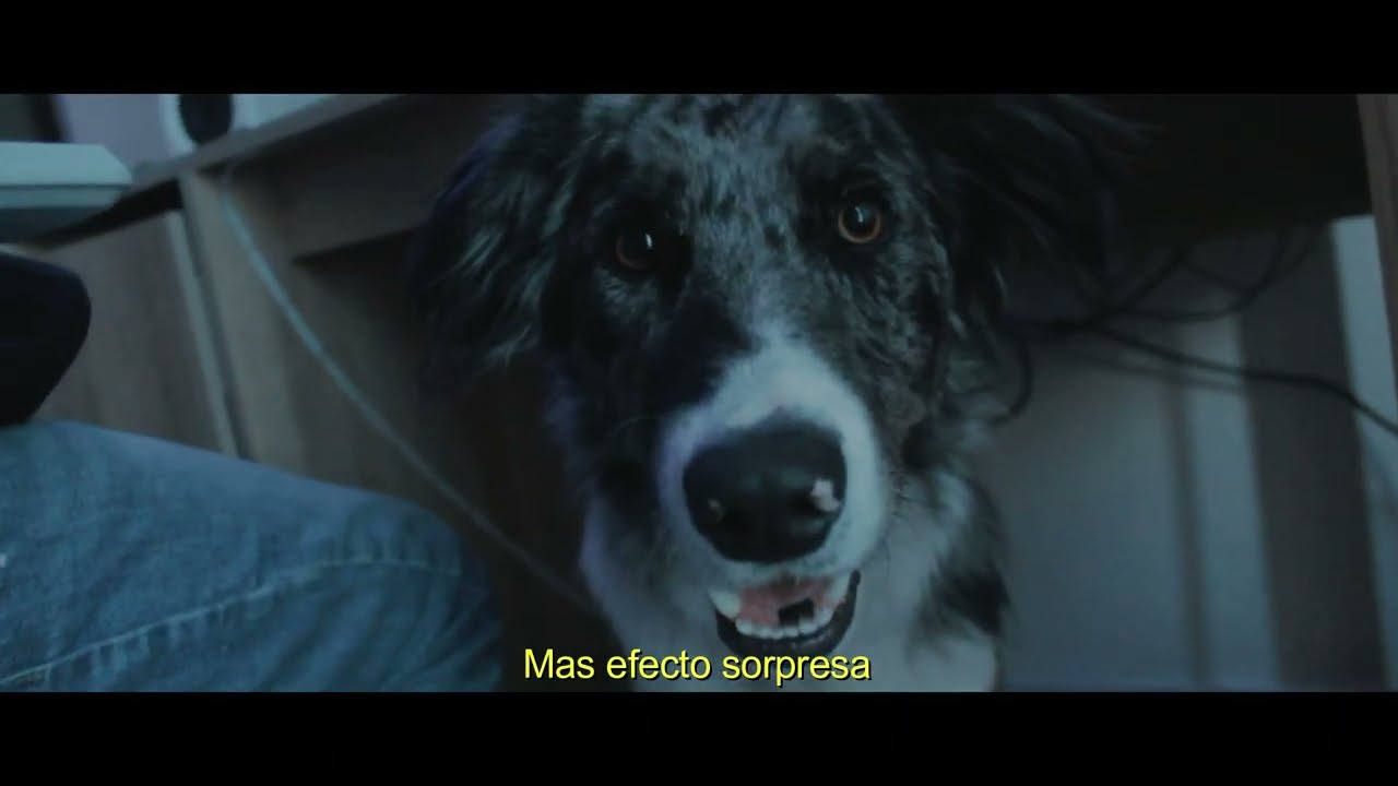 LIMITES x PROMETHEUS