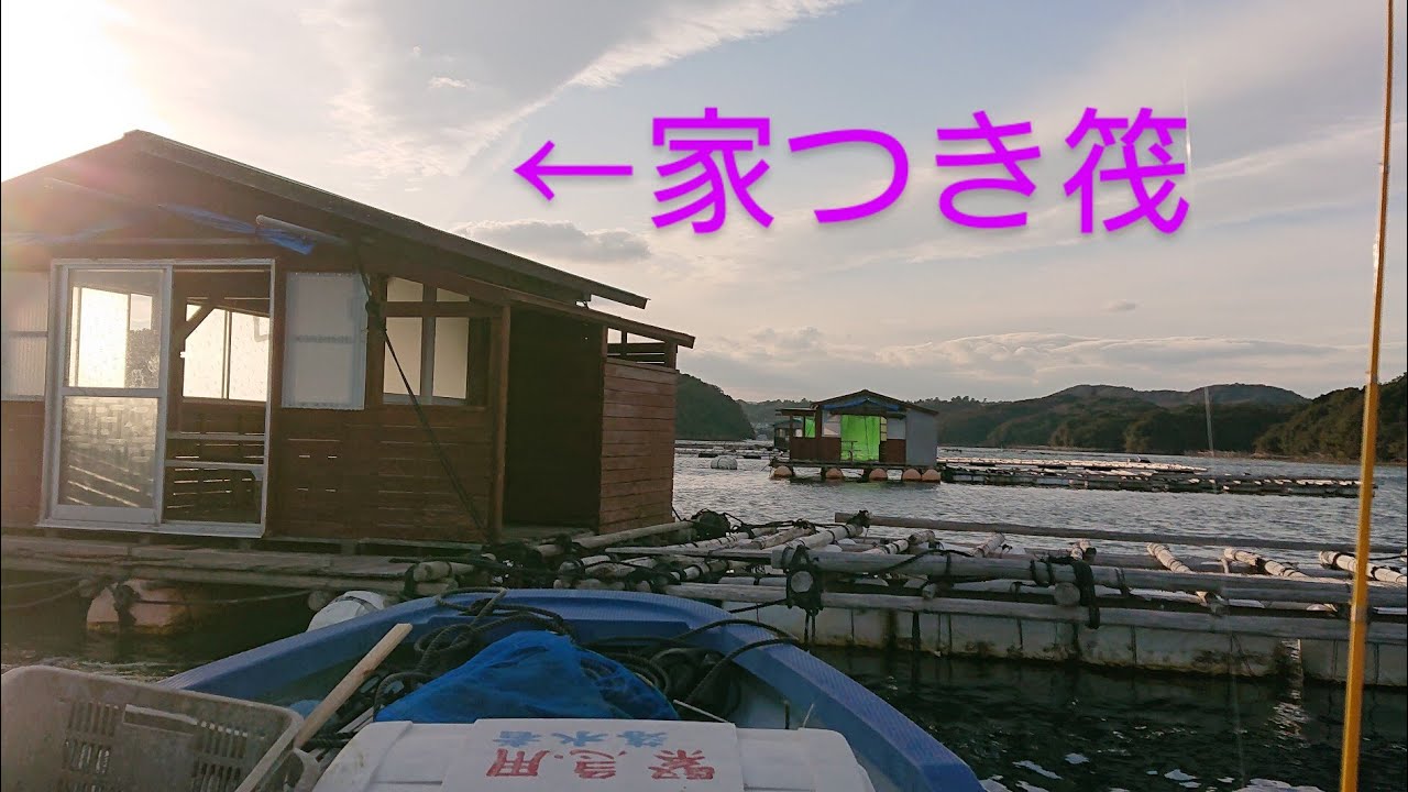 【志摩・英虞湾】鵜方浜釣センター（家付筏かかり釣り）‼️