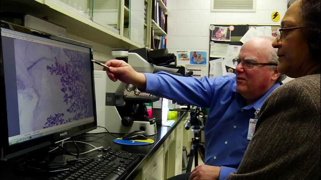 Toxicologic Pathology in a Regulatory Environment - Health Canada