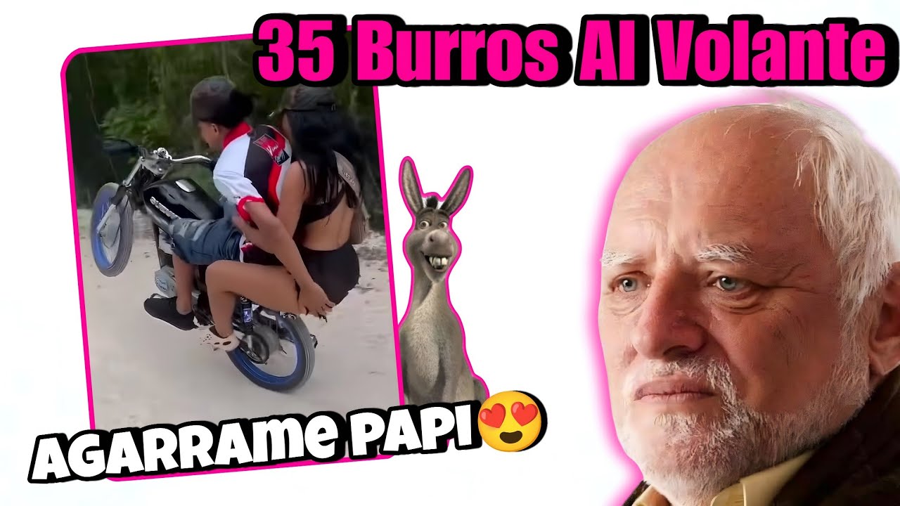 35 BURROS AL VOLANTE en moto captados en cámara 🛵🔥