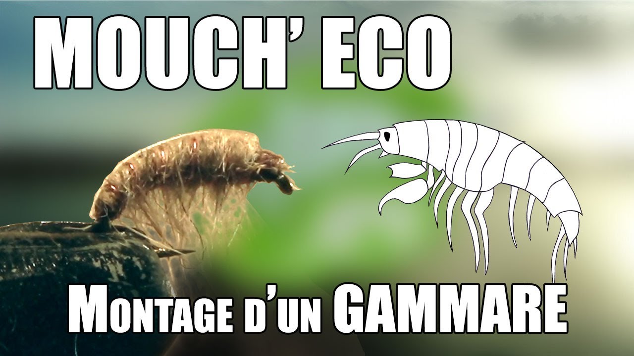🔎 Montage d'un GAMMARE Economique SANS EPOXY (Mouch'ECO) - AXe Mouche