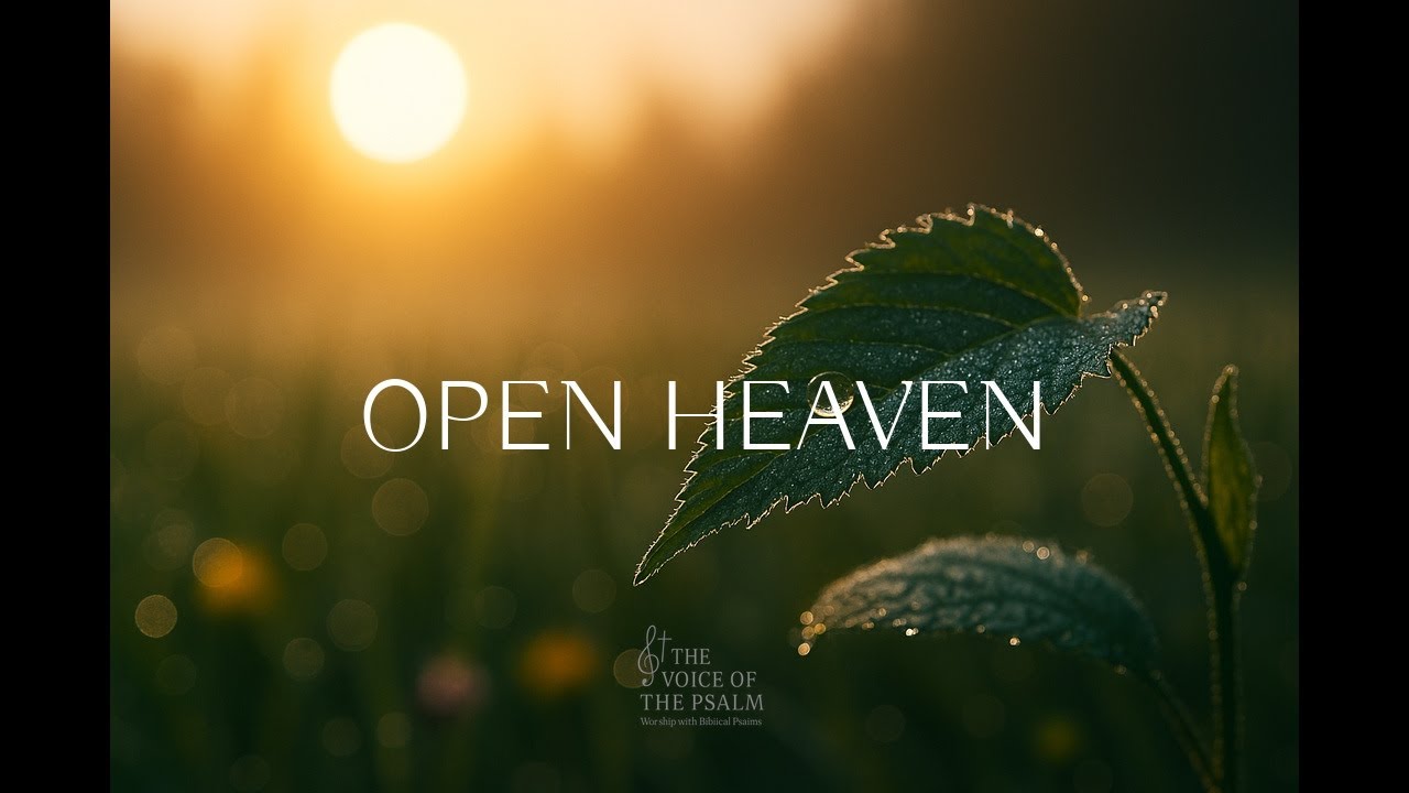 PEACEFUL INSTRUMENTAL music for meditation | Gentle sounds to calm the mind