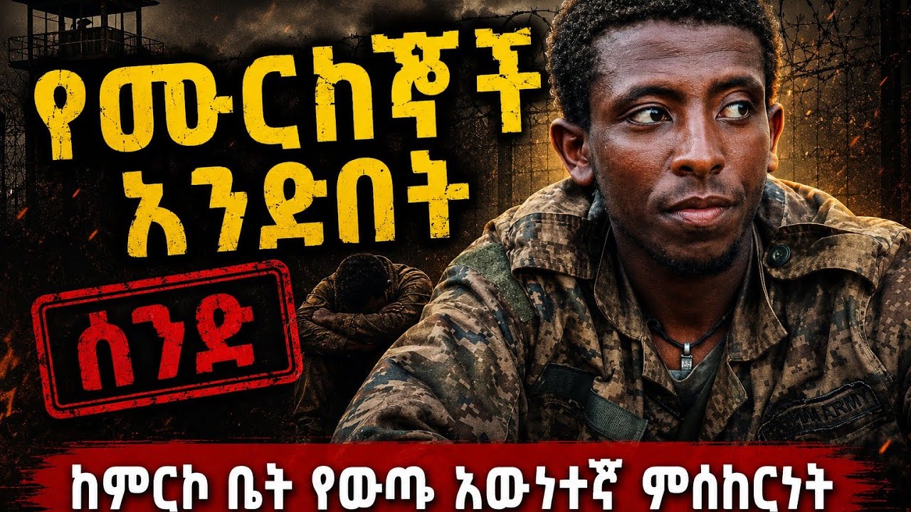 እኛ ከፊት መሪዎቹ ይመቱናል