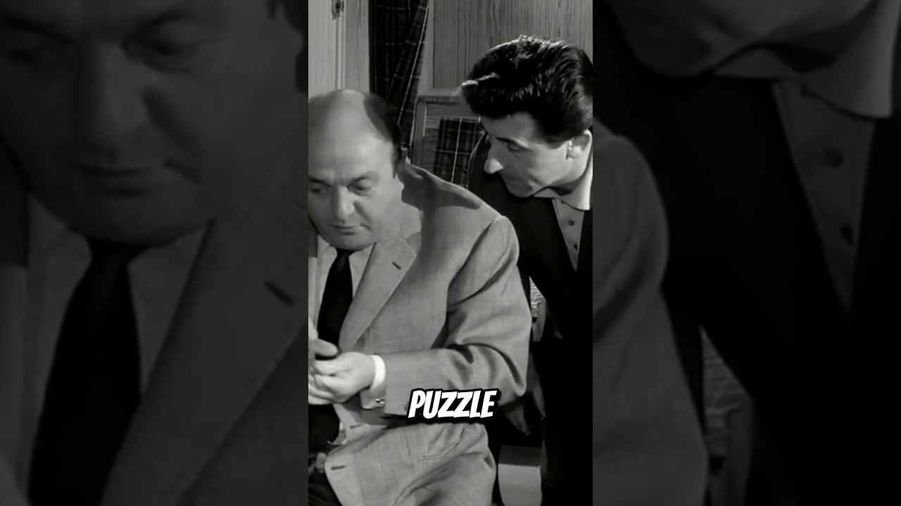 &Eacute;parpill&eacute; fa&ccedil;on puzzle - Les Tontons Flingueurs 🔫👴