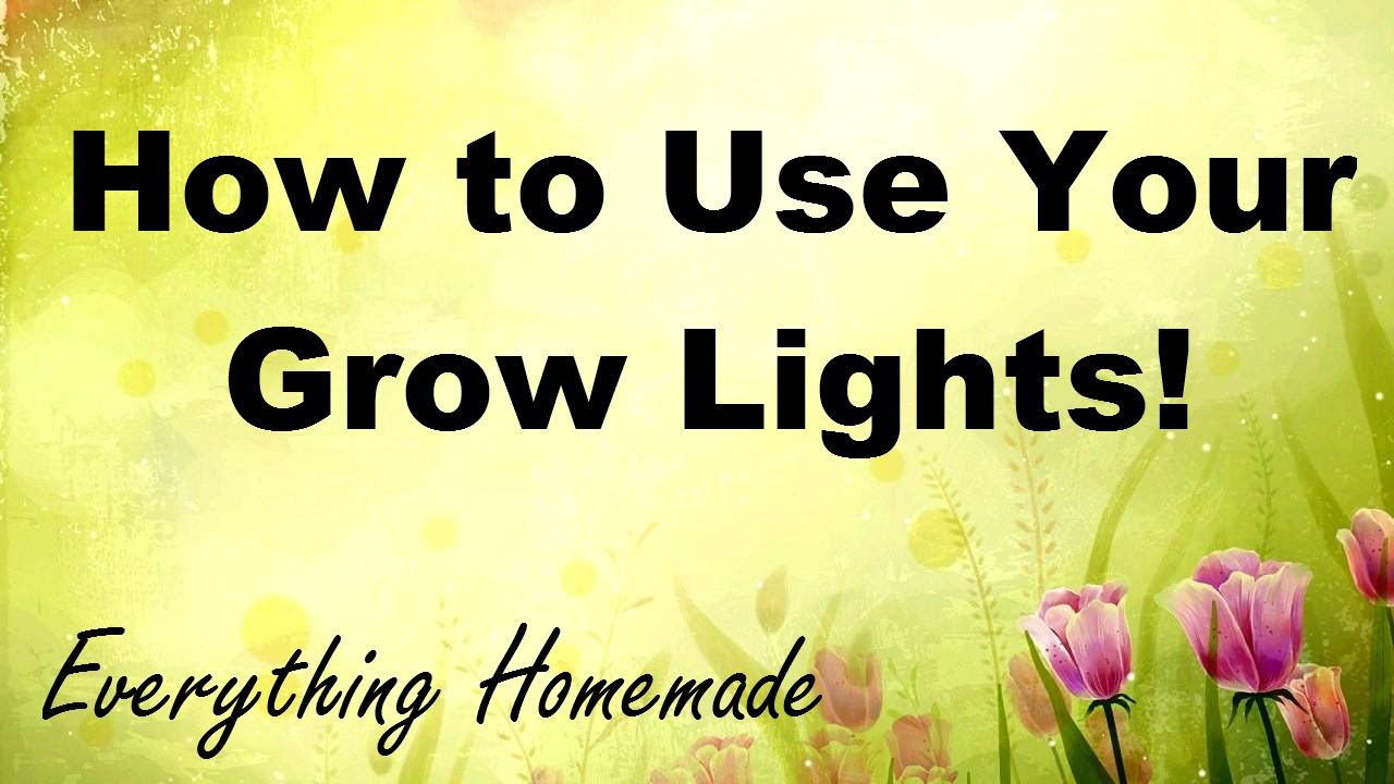 How to Use Your Grow Lights!