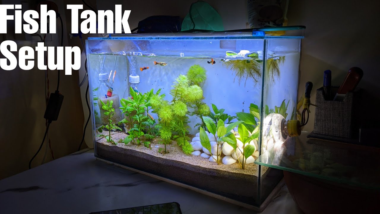 Planted Fish Tank Setup | Planted Aquarium