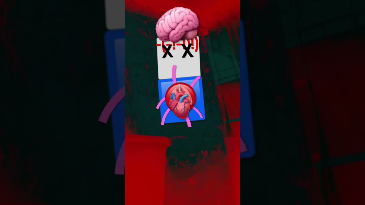 #gore #scary