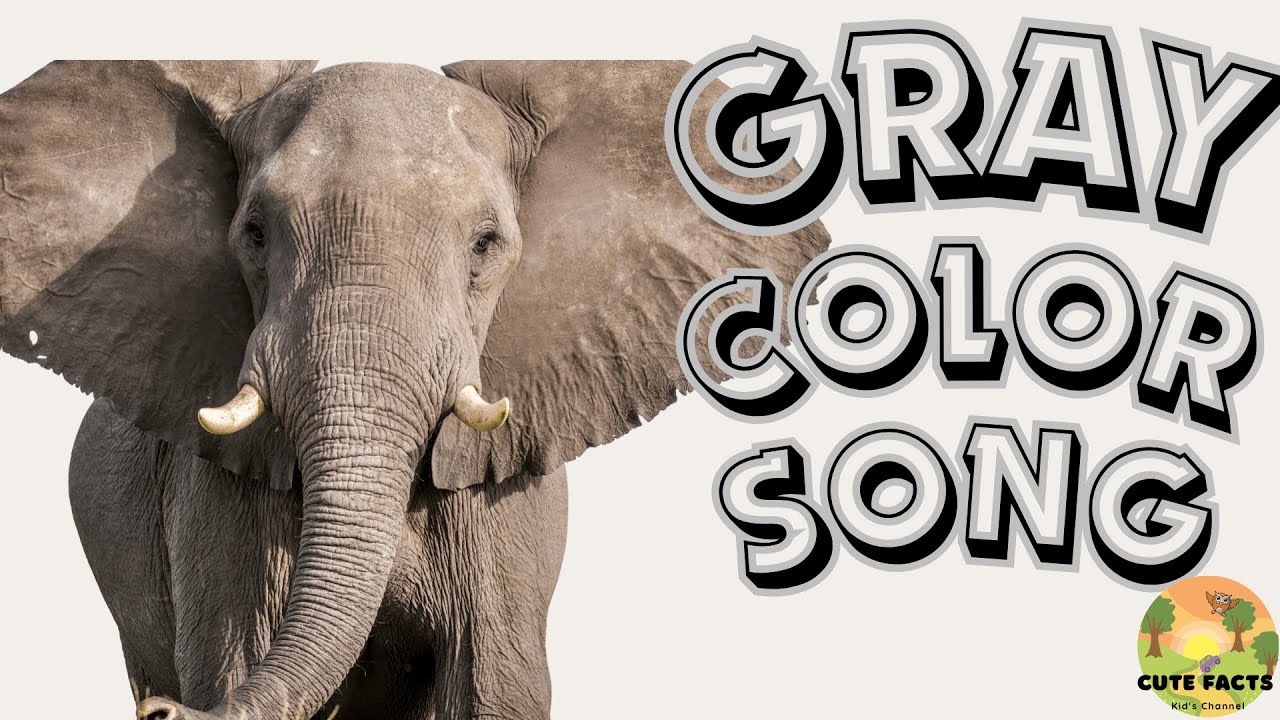 GRAY Color Song &ndash; Fun & Educational Songs for Kids! | Cute Facts