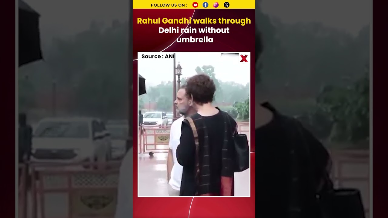 #watch | Rahul Gandhi Enjoys Delhi Rain, Refuses Umbrella Outside Parliament | #shorts