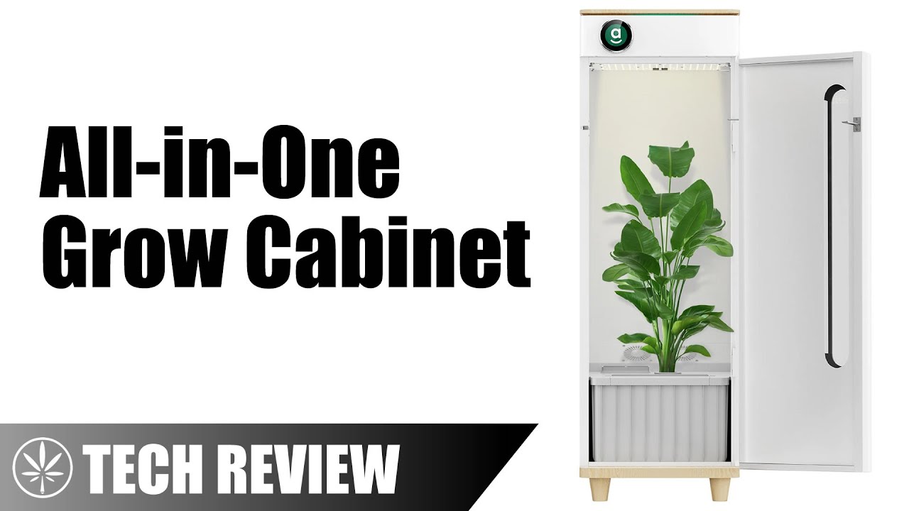 Hey Abby - A Surprisingly Affordable All-In-One Grow Cabinet