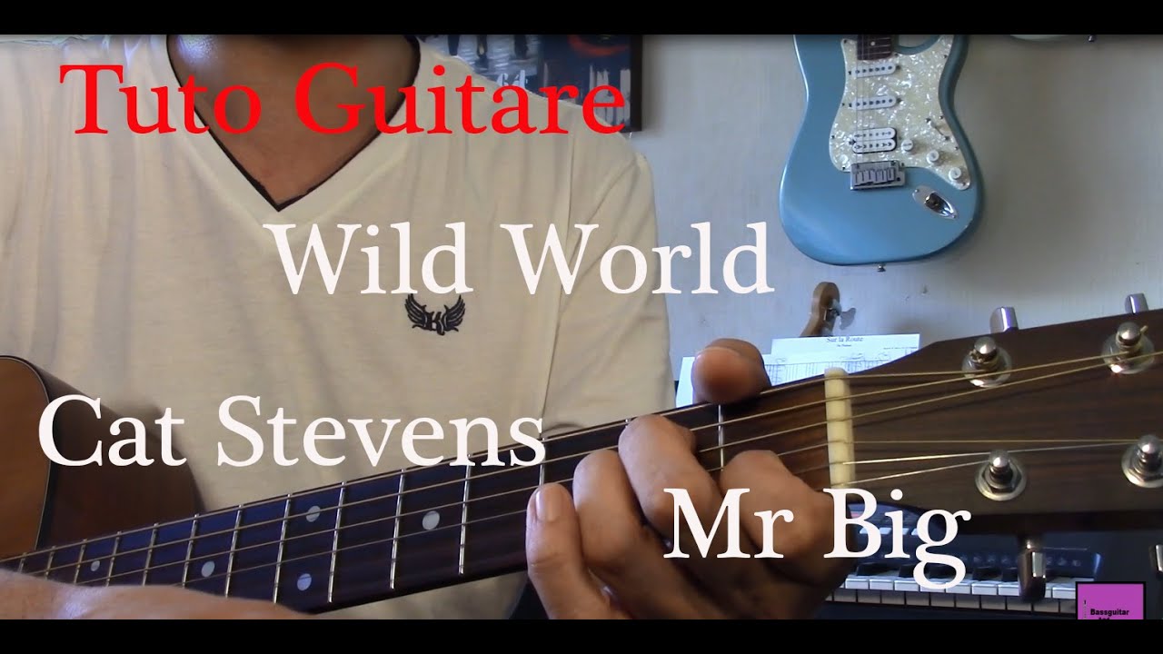Cours de guitare Pop - Wild World - Cat Stevens - Mr Big