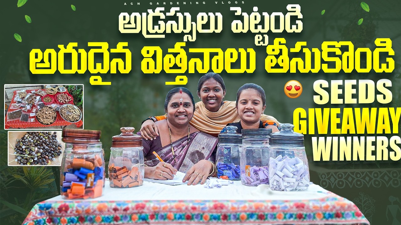 త్వరగా అడ్రస్ లు పెట్టండి అరుదైన విత్తనాలు తీసుకోండి | Rare Seeds Giveaway #freeseeds#plants #garden