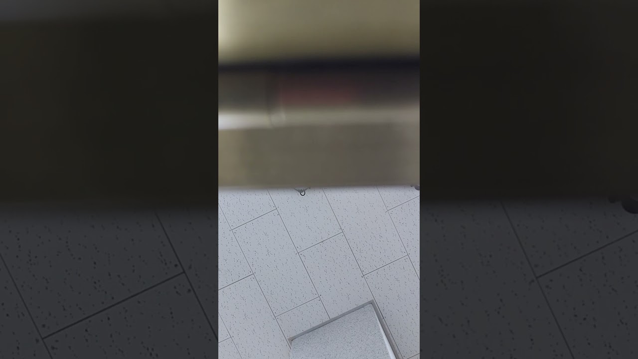 praise  the  lord