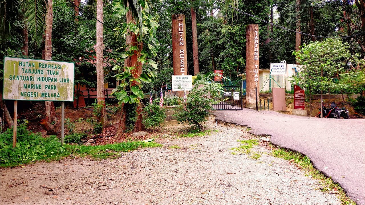 Hiking Bukit Batu Putih Track