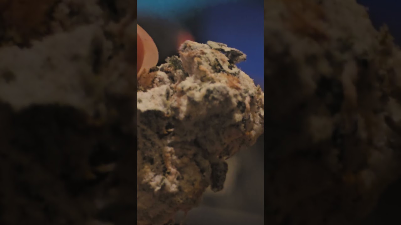 Closer View Of GSC Snow Cap