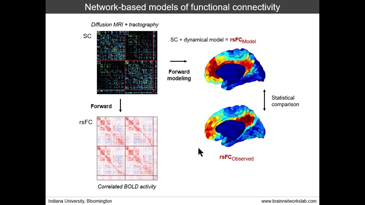 Linking Structural and Functional Connectivity: methods and modeling