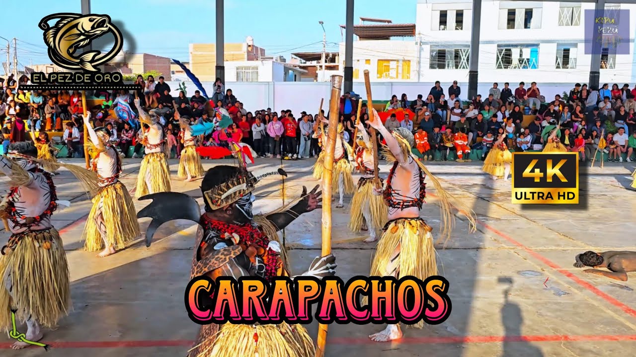 Carapachos / Tingo Maria - Huánuco / Hatun Shaska ( El Pez de Oro  2025 - Sonqo Tusuy )