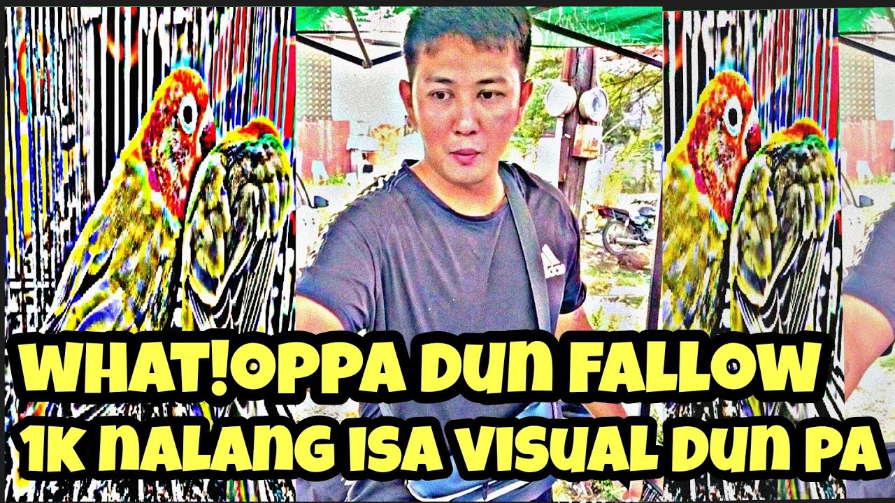 #Bocaue pet market#Bird Market #Grabe Visual Dun fallow 1k nlang isa 😱🤩👍