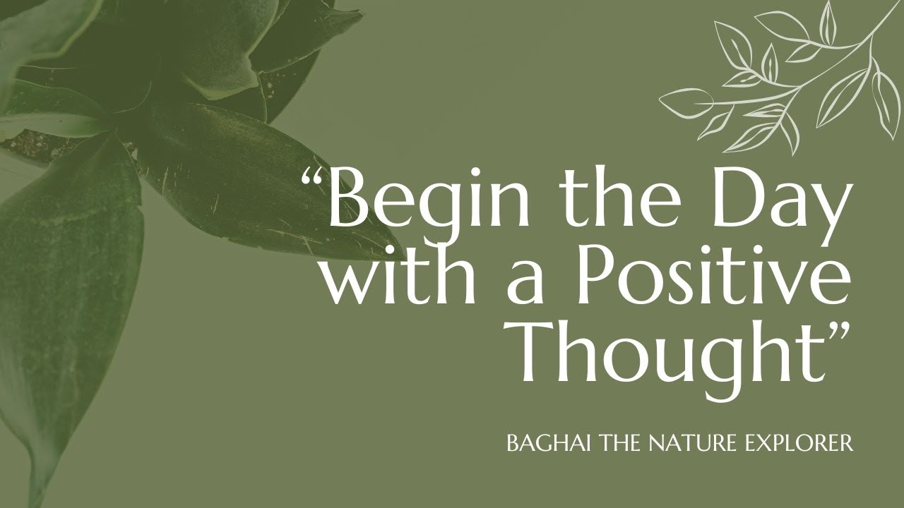 Begin the Day with a Positive Thought 🌿