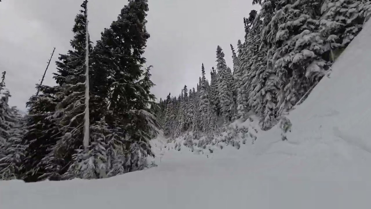The Longest Tranquil Easy Green Run(Expressway+Sunset Blvd) at Whistler/Blackcomb 12.17.2024