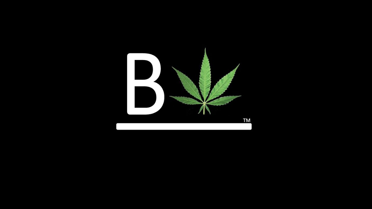 BOOM FIYA!!! BeLeaf Cookies