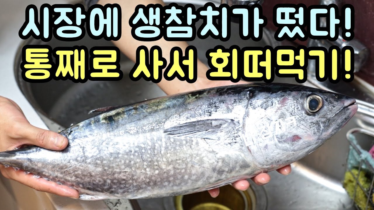 노량진 수산시장에 뜬 국산 생 참다랑어 생참치! 통째로 사서 회 떠먹어봤습니다.