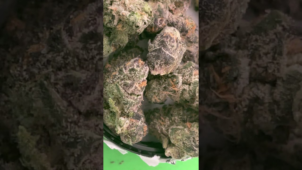 #gelato Gelato by cookies review