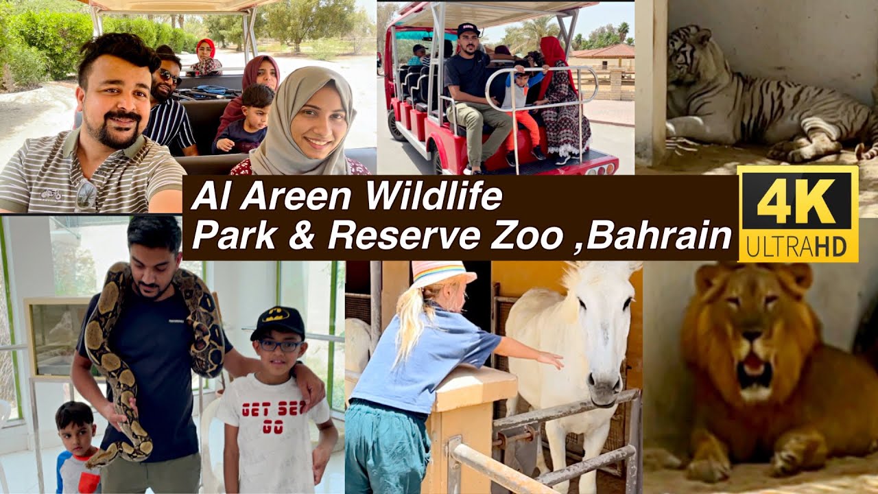 Al Areen Wildlife Park & Reserve Zoo, Bahrain | Exploring Bahrain 🇧🇭