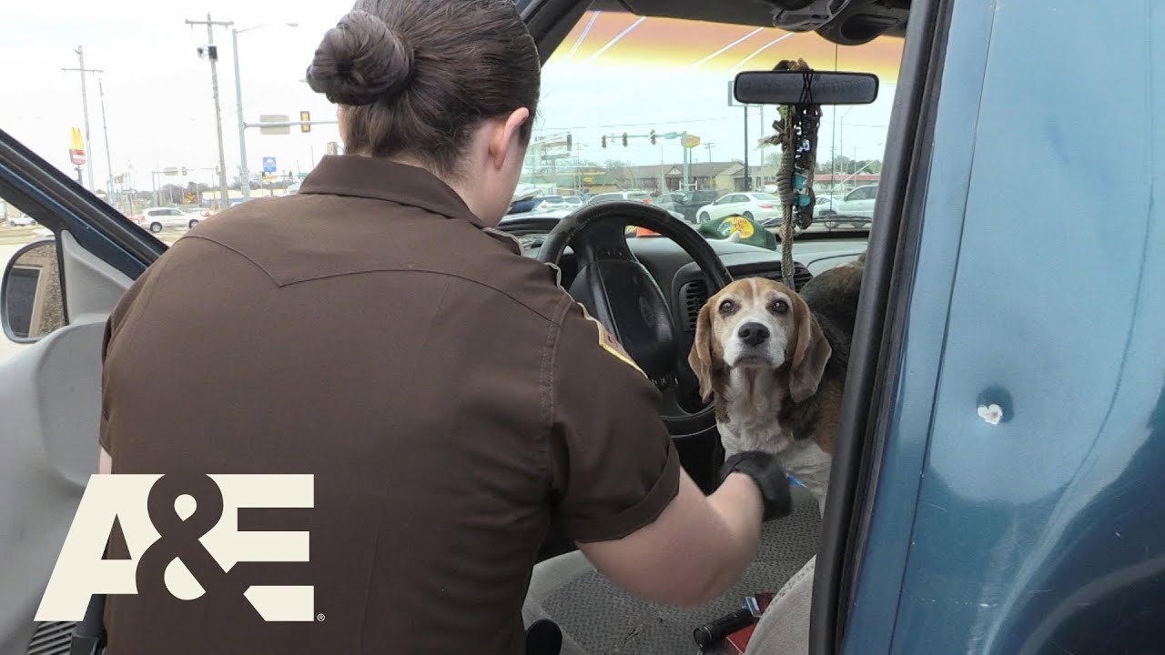 Live PD: Personal Use (Season 3) | A&E
