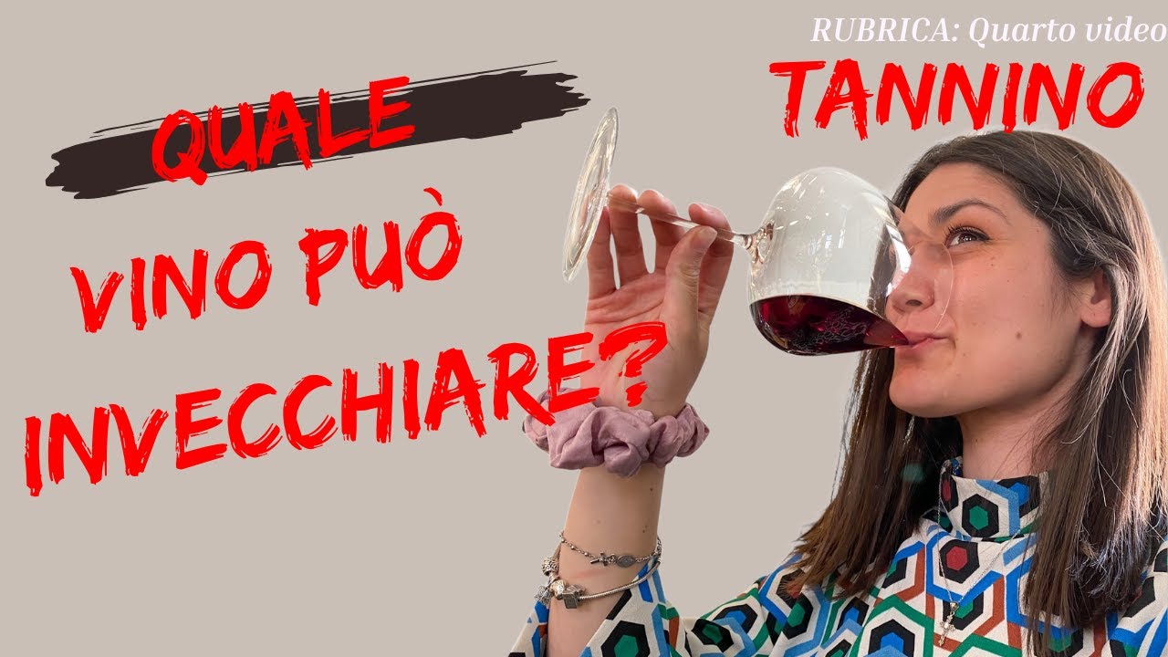 QUALI VINI POSSONO INVECCHIARE? COME LO CAPISCO? 🍷