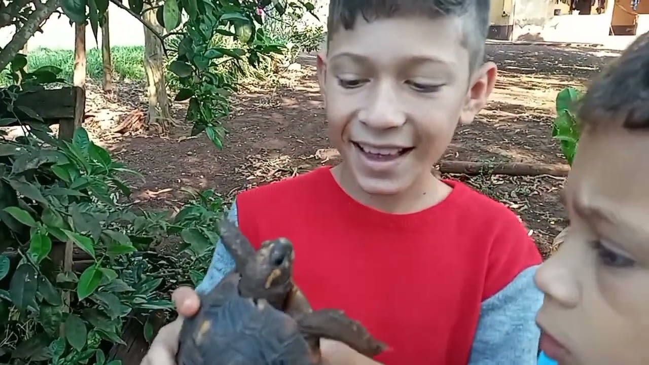 manhã com as crianças Gabriel encontrou a tartaruga que tinha fugido🥰