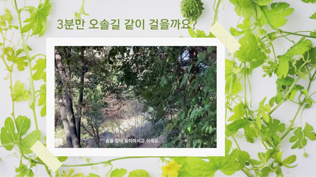 스트레스 힐링영상, 3분안에 화난 당신을 진정시켜드립니다. 제주도 오솔길로 오세요.