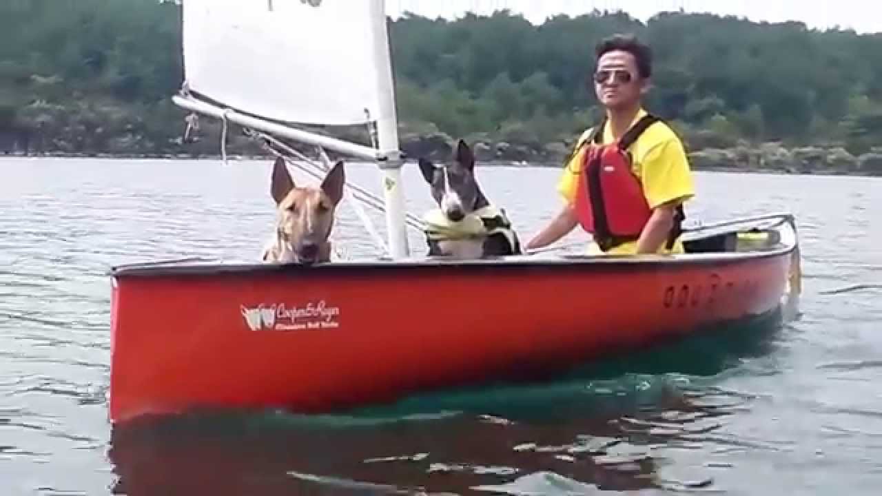Aquamuse sailing canoe in Lake Saiko September 2014