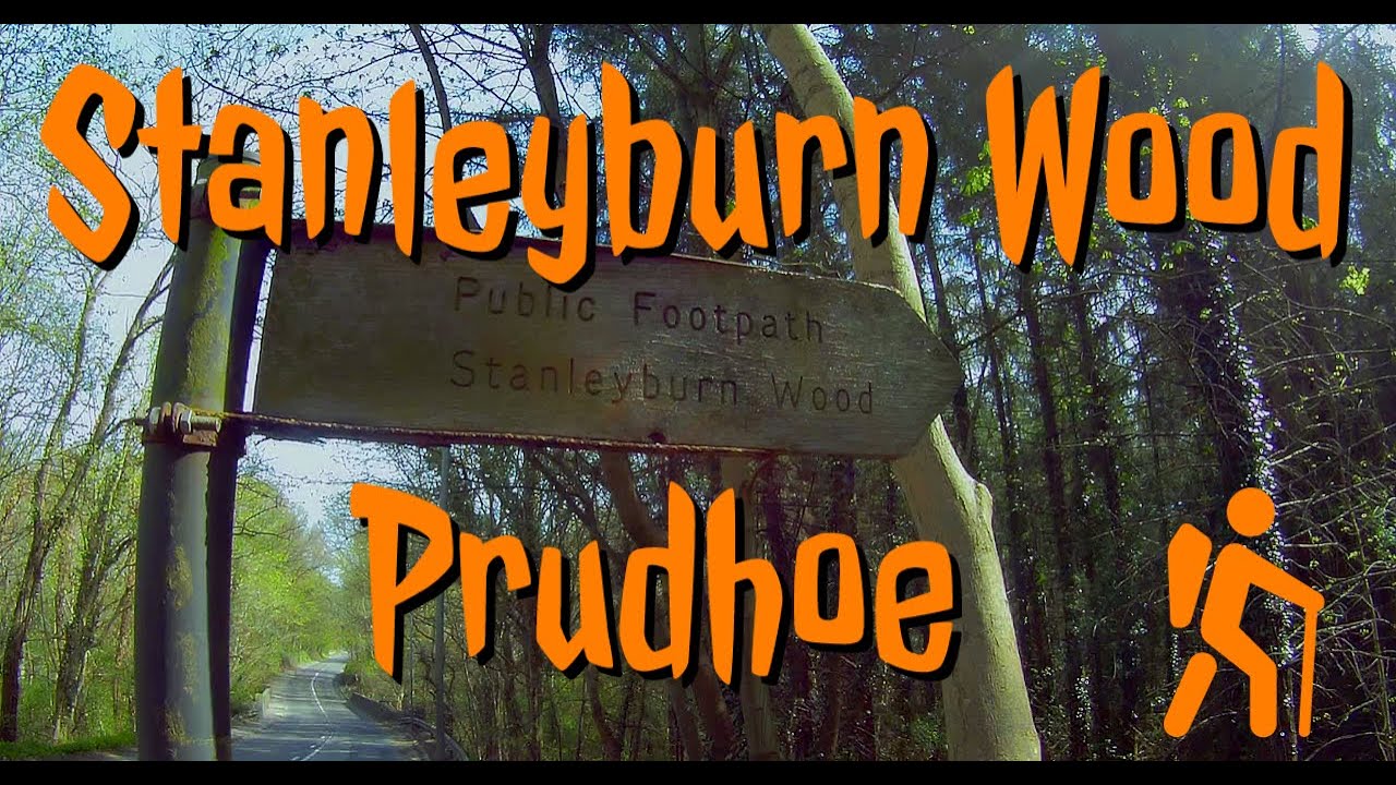 Stanley Burn Wood - Prudhoe [LOCAL WALK]