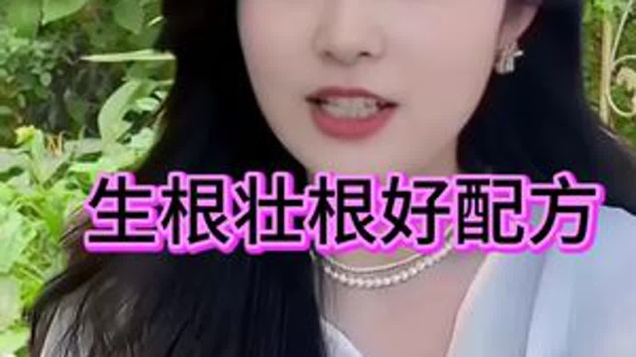 生根壮根好配方