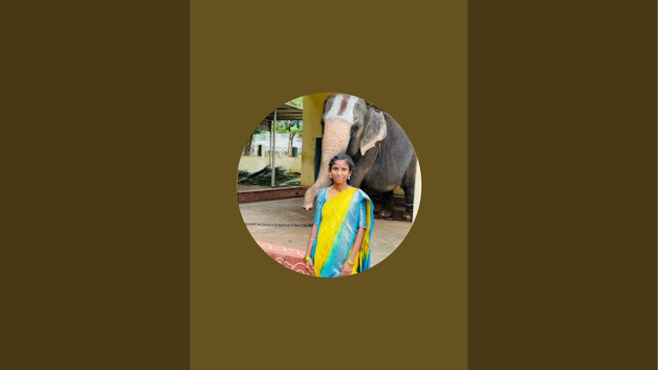 All In One Sirisha is live