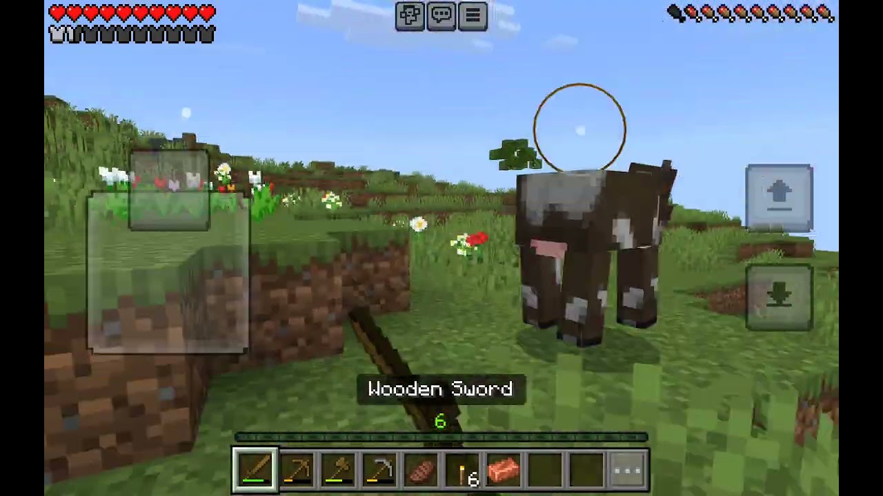 Another normal minecraft world