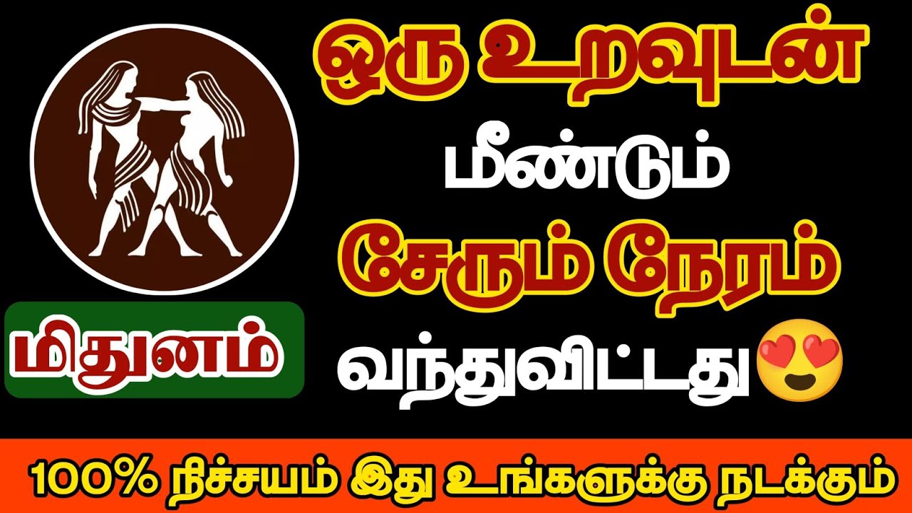 மிதுனம் - ஒரு உறவுடன் மீண்டும் சேரும் நேரம் வந்துவிட்டது/#mithunam/#dinapalan 