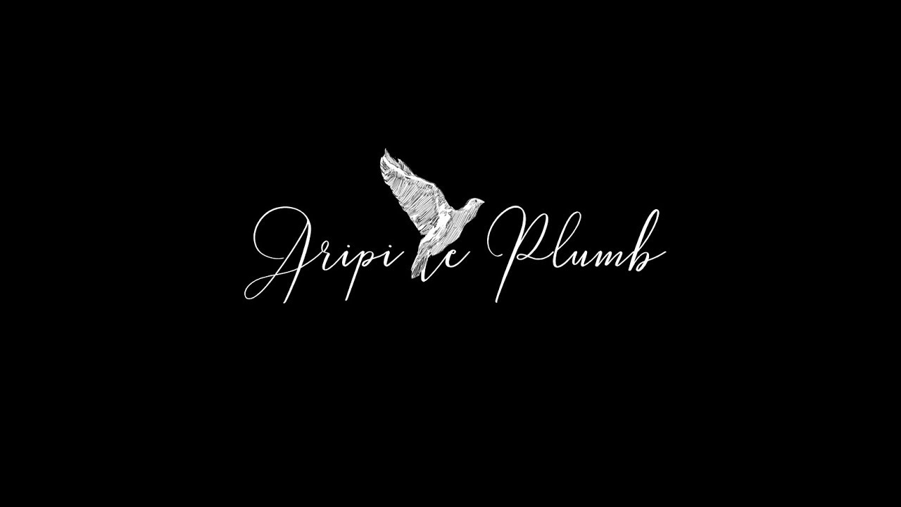 Bvcovia - Aripi de plumb (Audio)